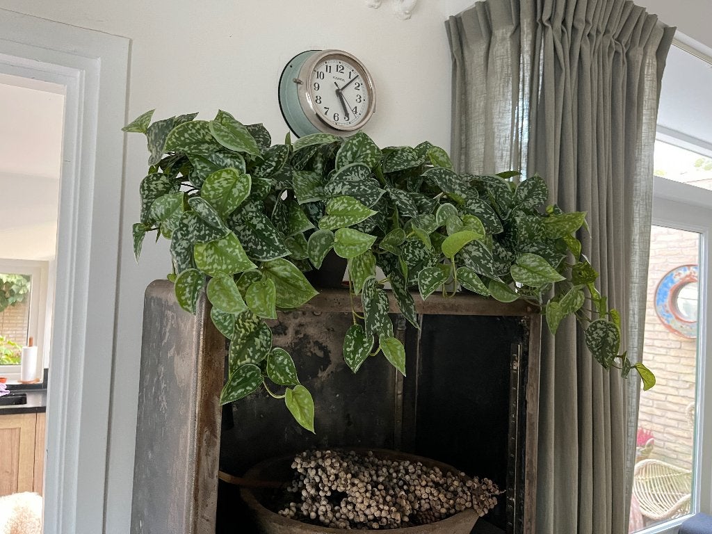 16 X Scindapsus  Green Hangplant Kunstof 44cm lang in pot Nw, Ophalen, Groen, 44 cm, Kunstplant