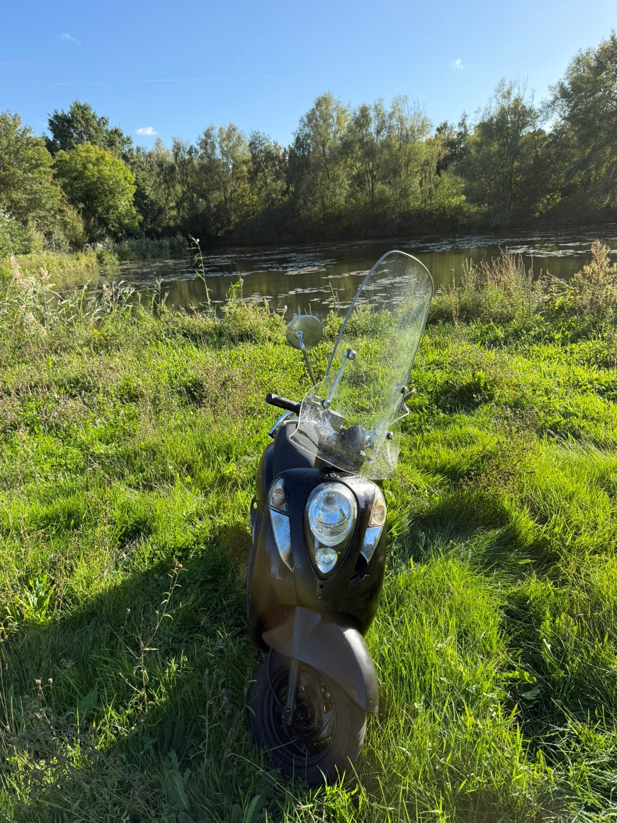 Sym mio geel kenteken, Maximaal 45 km/u, Zo goed als nieuw, Benzine, 50 cc