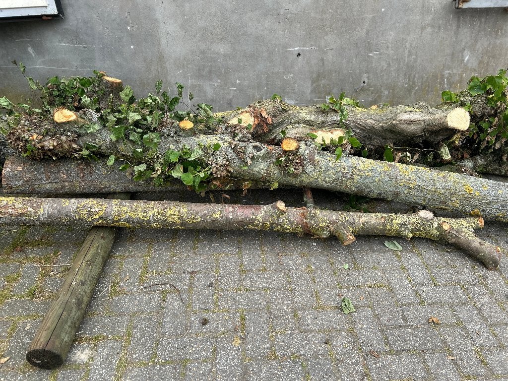 Haardhout kachelhout hout, 6 m³ of meer, Ophalen, Overige houtsoorten, Stammen