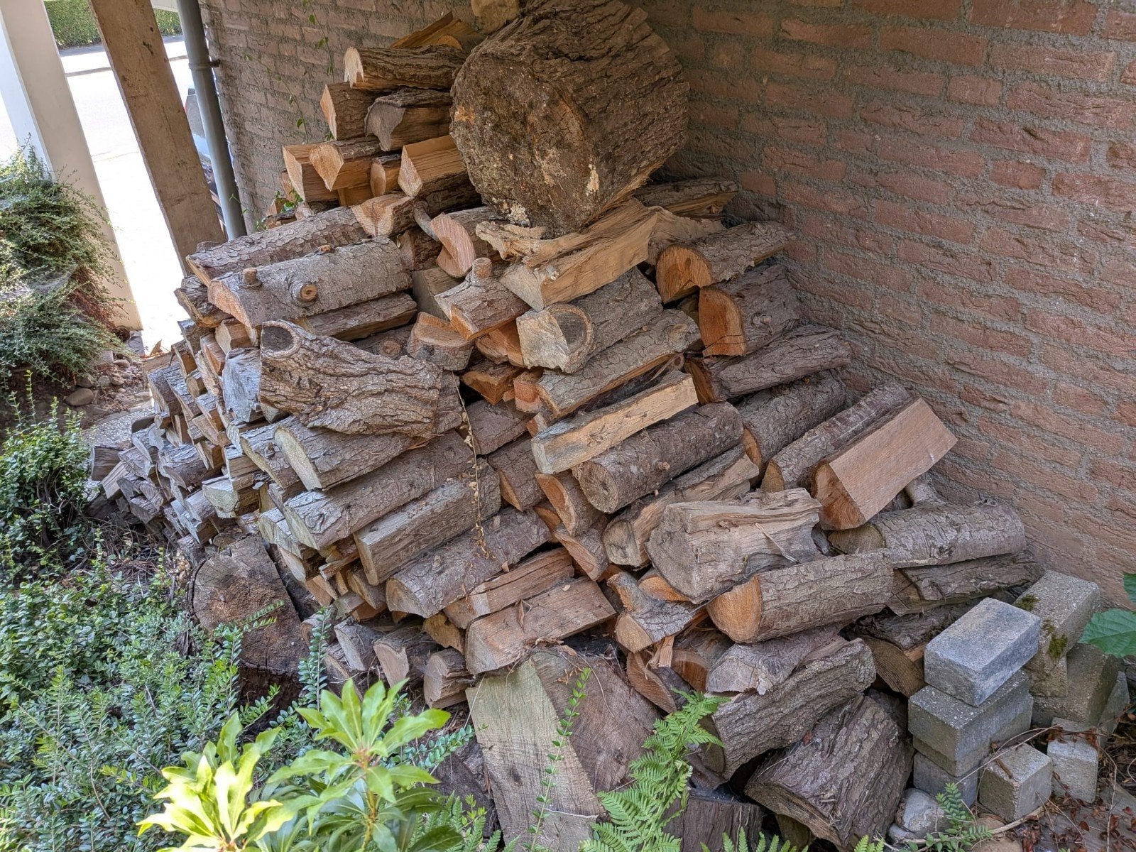Gedroogd naaldhout 4m3, 3 tot 6 m³, Ophalen, Overige houtsoorten, Blokken
