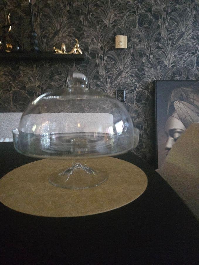 Mooie zware glazen stolp, Ophalen, 30 cm, Zo goed als nieuw, Glas
