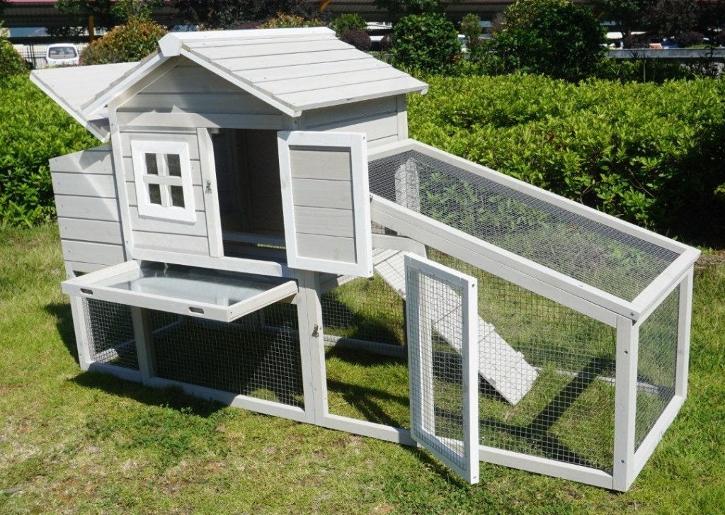 Kippenhok met ren araucana, Dieren en Toebehoren, Ophalen of Verzenden, Nieuw, Kippenhok of Kippenren