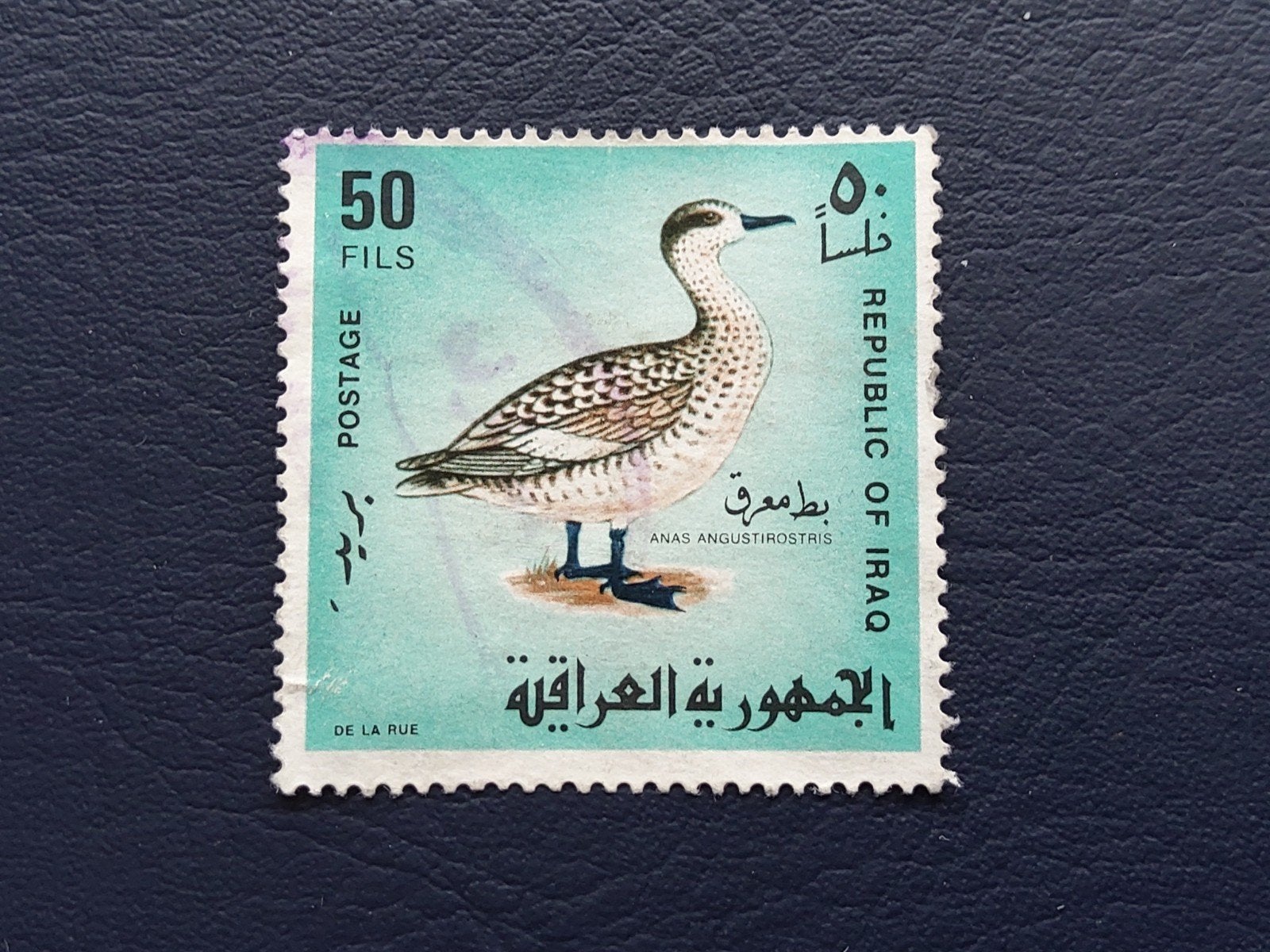 Irak postzegel 50 Fils met vogelmotief (Anas Angustirostris), Postzegels en Munten, Postzegels | Thematische zegels, Gestempeld