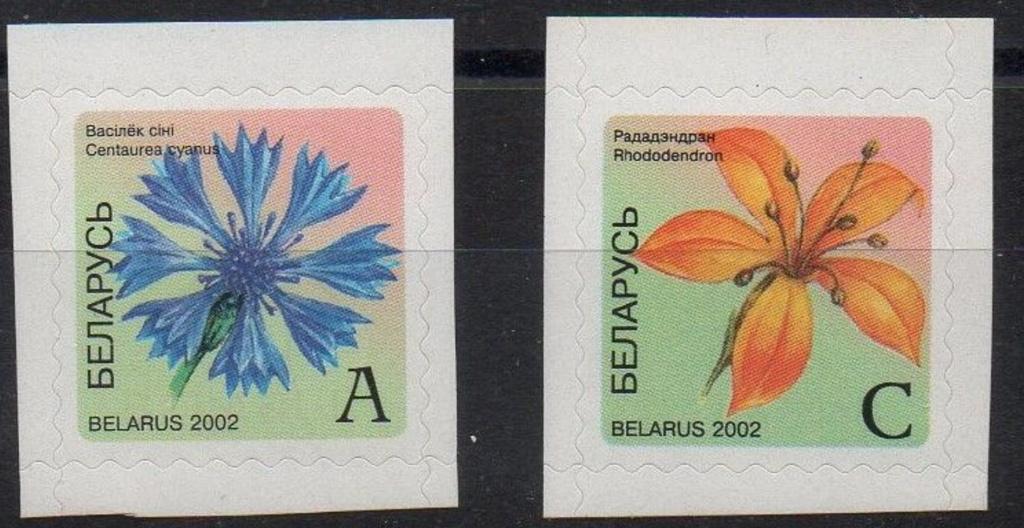 23-05 Wit Rusland MI 462/3 postfris, Verzenden, Postfris
