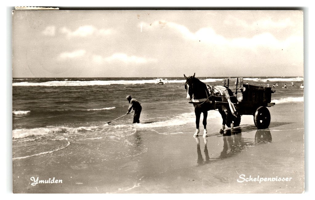 IJmuiden, Schelpenvisser, Ophalen of Verzenden, 1960 tot 1980, Gelopen, Noord-Holland