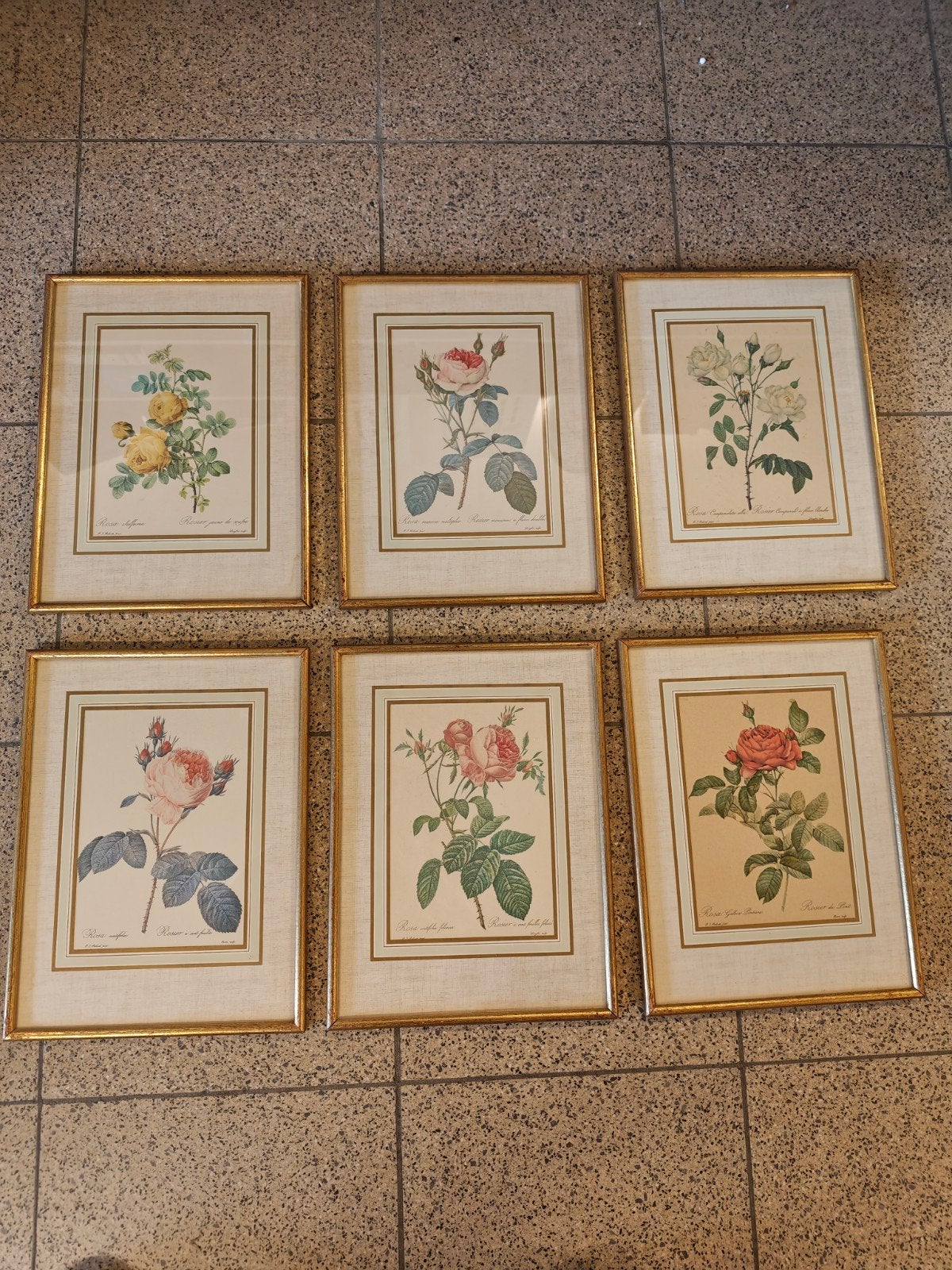 botanicus Pierre-Joseph Redouté. 6 stuks, Ophalen of Verzenden