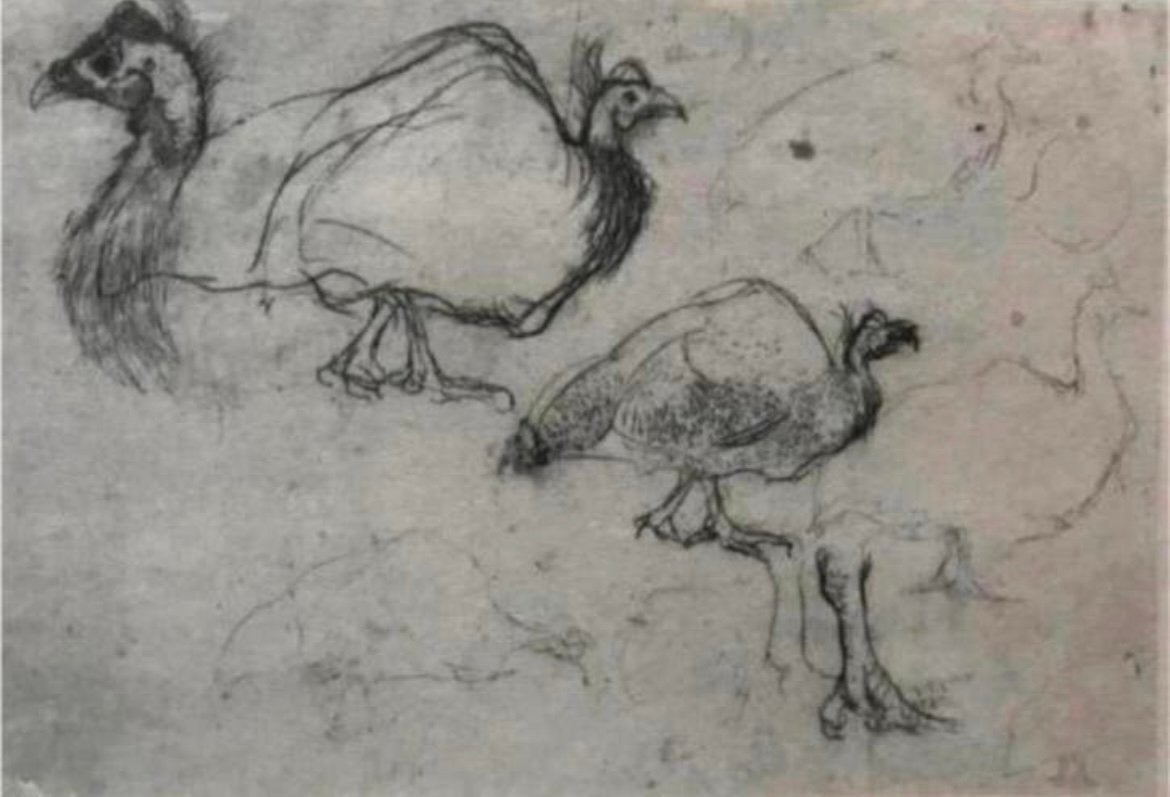 Jan Mankes 1889-1920 / Heliogravure Schets Kalkoenen 1923, 10 cm, Verzenden, 19 cm, Gravure