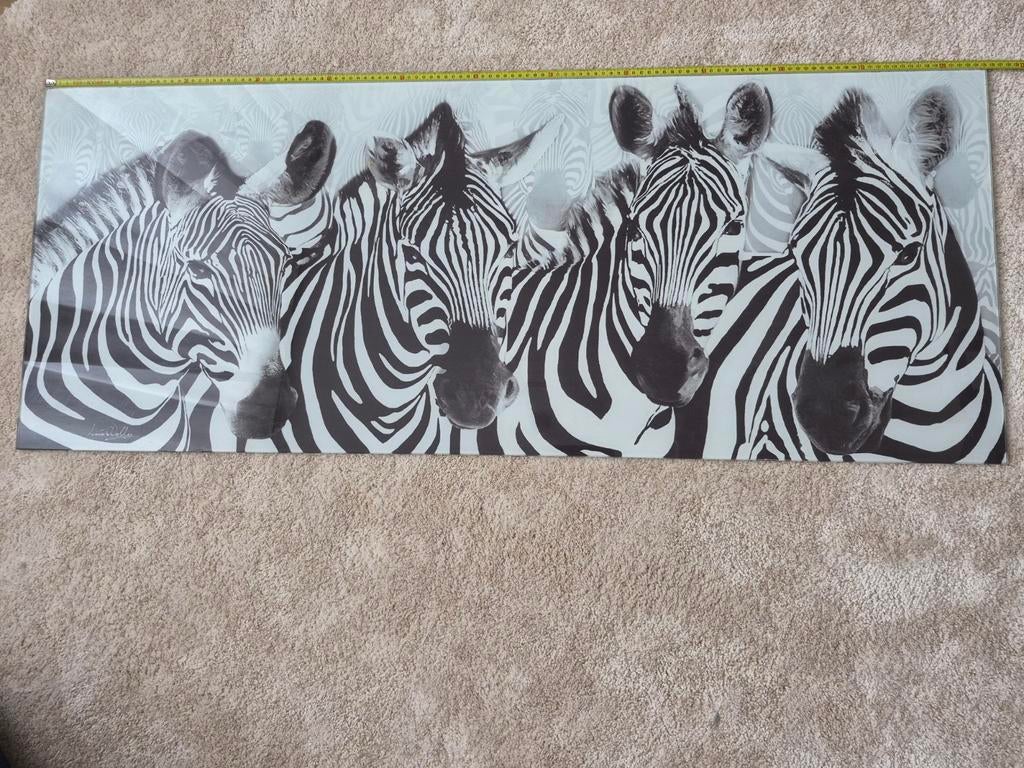 Groot zebraglas schilderij 125x50cm, Ophalen, Gebruikt, 125 cm of meer, Schilderij