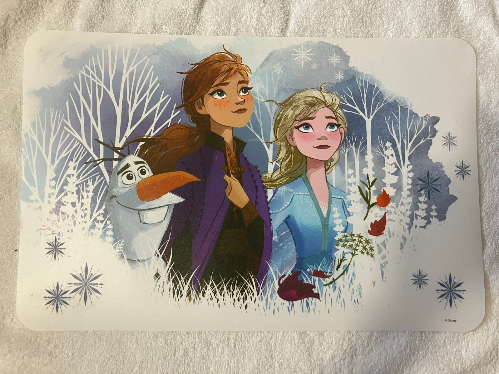 Nieuw Disney Frozen II placemat - Elsa, Anna & Olaf, Ophalen of Verzenden, Nieuw