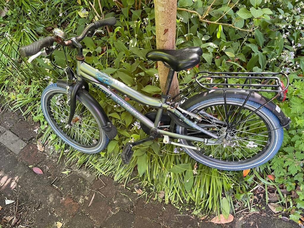 Loekie kinderfiets 16 inch, Ophalen, Gebruikt, Terugtraprem, 16 tot 20 inch