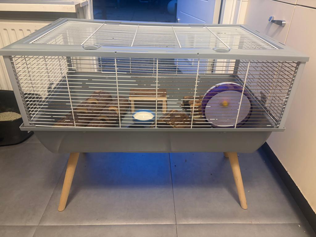 Mooie hamsterkooi incl toebehoren, Dieren en Toebehoren, Knaagdieren en Konijnen | Hokken en Kooien, Kooi, Minder dan 75 cm, Zo goed als nieuw