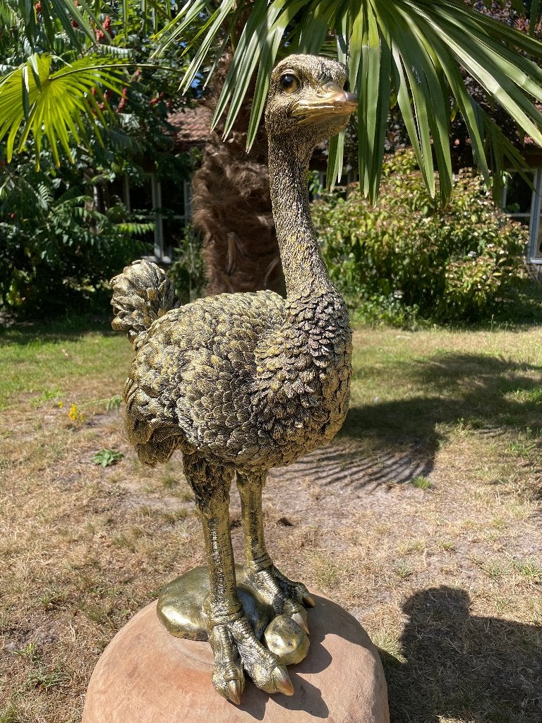Beeld Struisvogel, gazon, tuin, vijver, dierentuin 70cm, Ophalen, Nieuw, Kunststof, Dierenbeeld