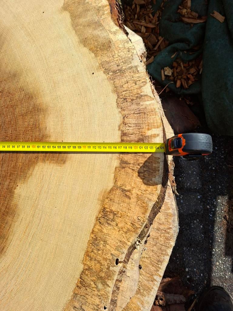 Eiken boomstamschijven, Ophalen, Eiken, Plank, 50 mm of meer