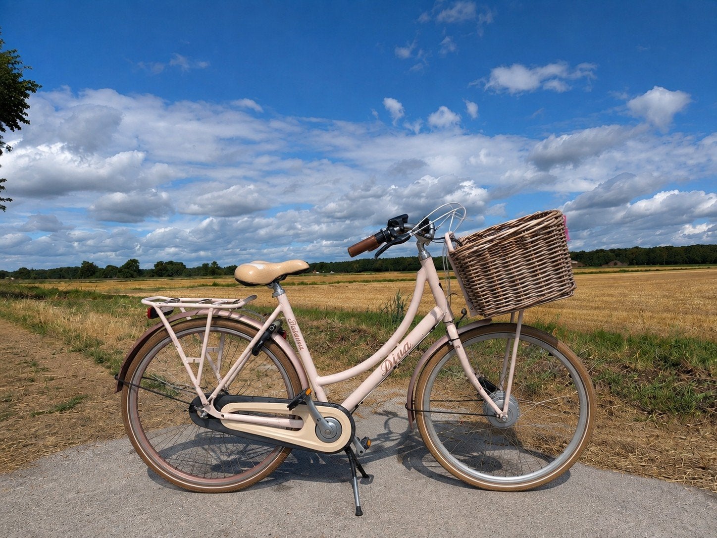 Elektrische Bromfiets maat 53 (Batavus), 51 tot 55 cm, Ophalen, Overige merken