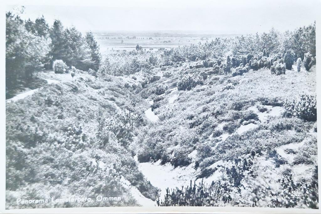 Fotokaart Ommen - Panorama Lemelerberg - 1954, Ophalen of Verzenden, 1940 tot 1960, Gelopen, Overijssel