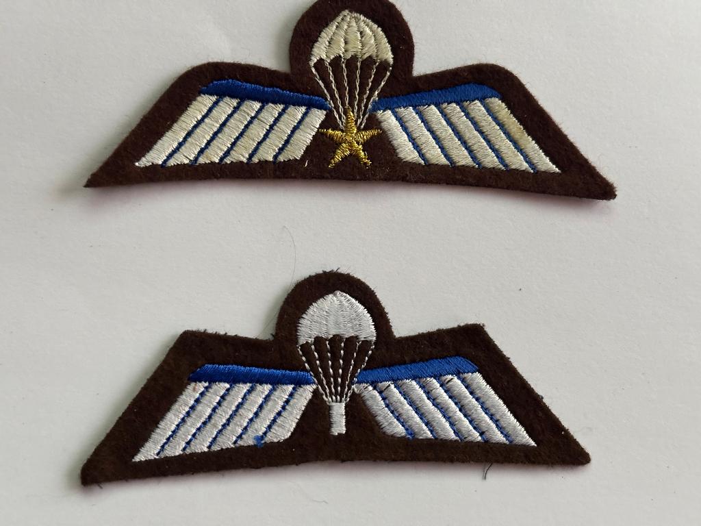 2x Para wings A & B. voor DT, Verzenden, Landmacht, Nederland, Kleding of Schoenen