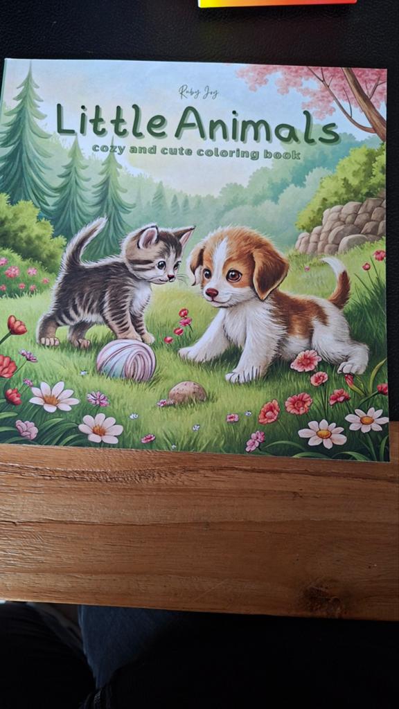 Cozy coloring book, Ophalen of Verzenden, Zo goed als nieuw