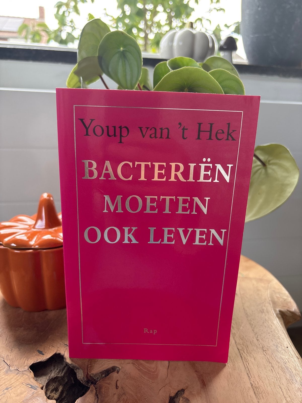 Youp van 't Hek - Bacteriën moeten ook leven, Ophalen of Verzenden, Gelezen