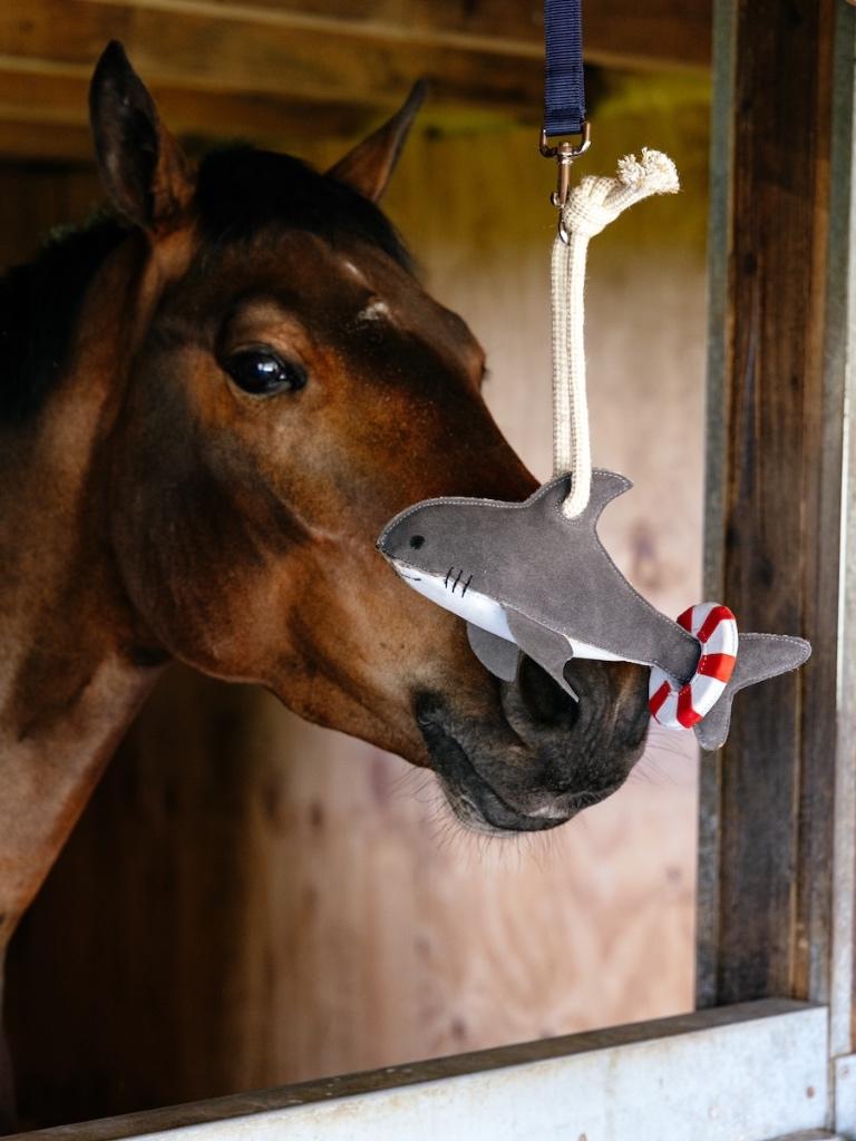 LeMieux Horse Toy Haai Paarden Stal Speelgoed SALE -42%!, Dieren en Toebehoren, Paarden en Pony's | Overige Paardenspullen, Ophalen of Verzenden