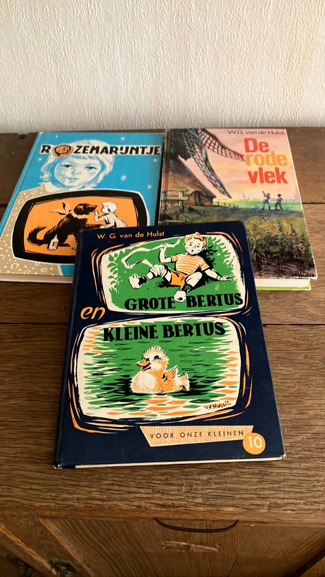 van der Hulst, Ophalen of Verzenden, Gelezen, W.G  van de Hulst, Non-fictie