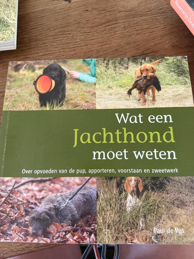 Wat een Jachthond moet weten - Paul de Vos, Ophalen of Verzenden, Zo goed als nieuw, Honden