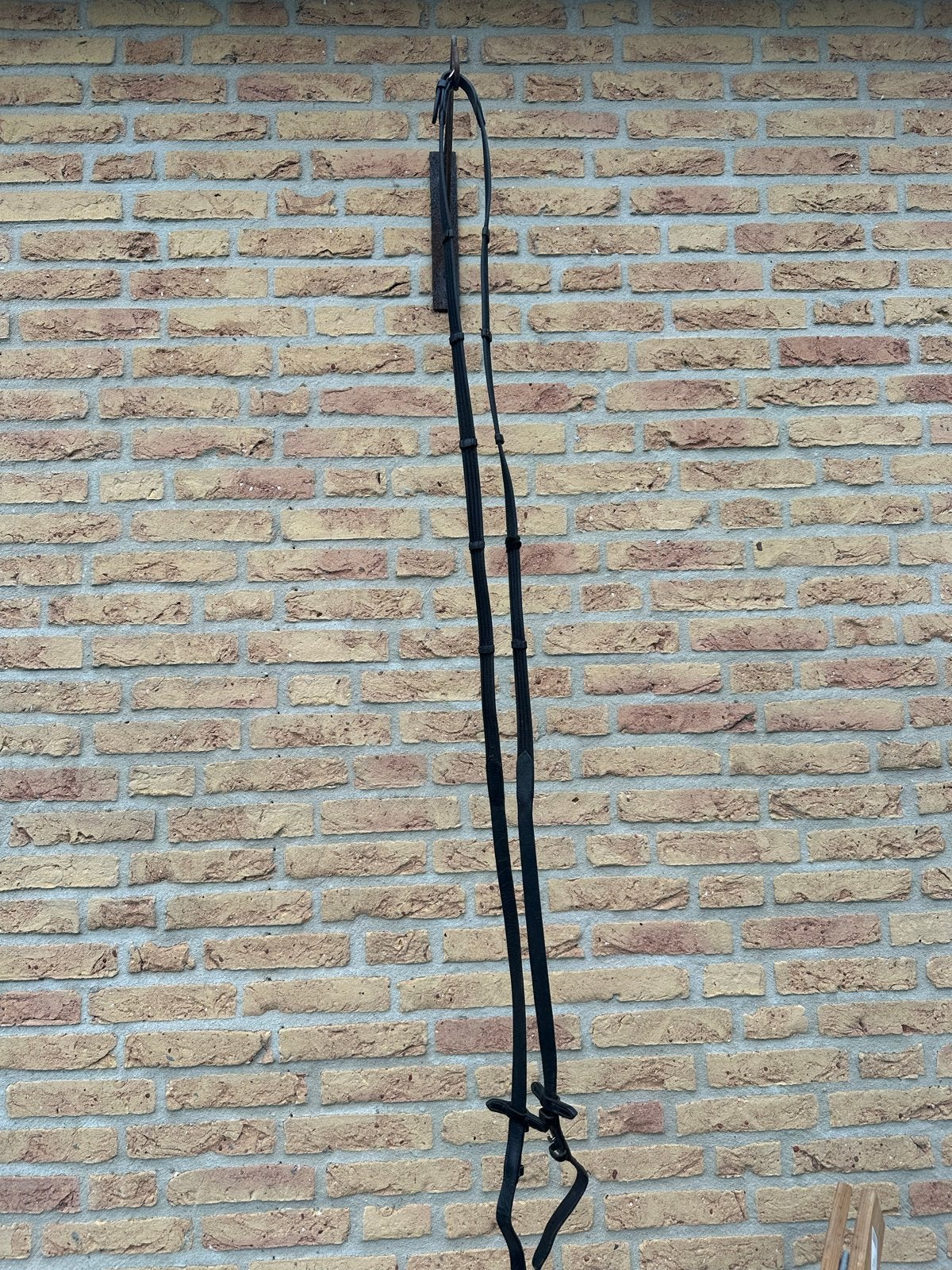Teugels, Gebruikt, Ophalen of Verzenden, Zwart, Cob