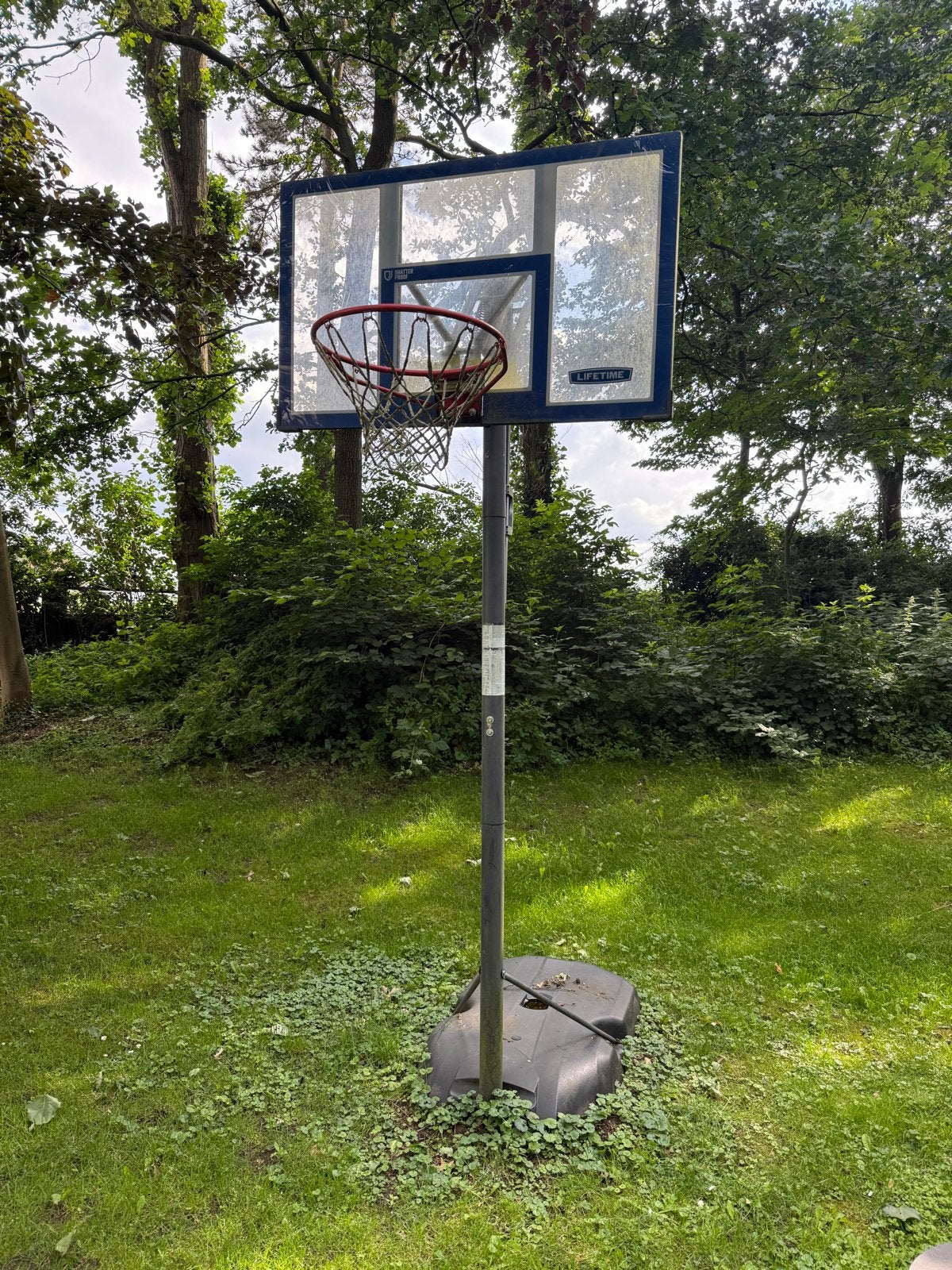 Lifetime Basketbalpaal - Verstelbaar & Verplaatsbaar, Sport en Fitness, Basketbal, Ophalen, Gebruikt, Ring, Bord of Paal
