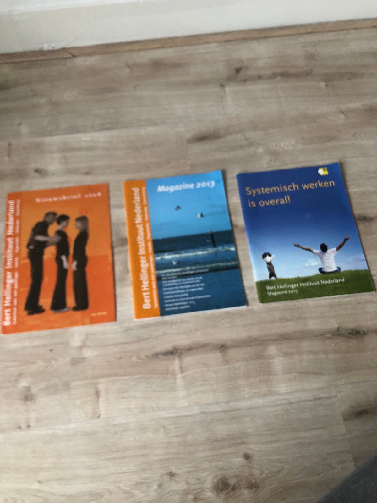 3 Magazines Bert Hellinger instituut, Boeken, Ophalen, Zo goed als nieuw