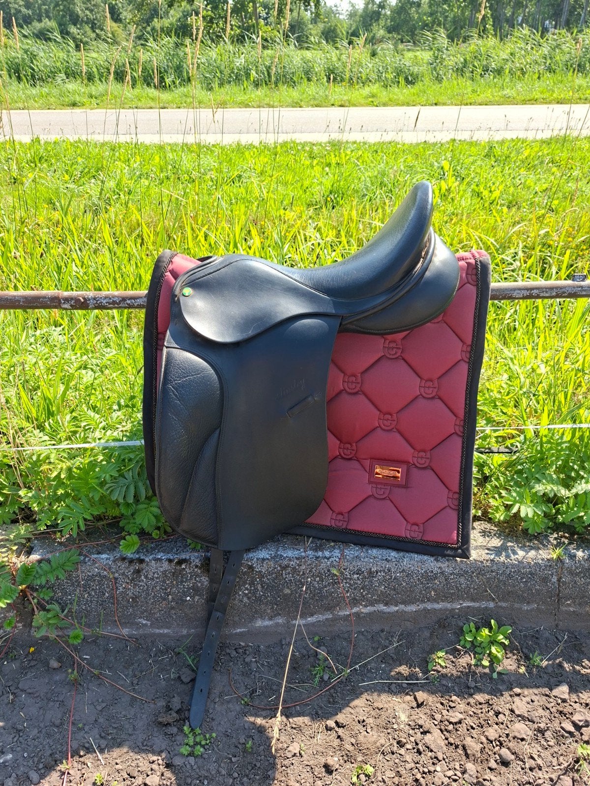 Te koop wegens overcompleet, Ophalen of Verzenden, Gebruikt, Dressuur