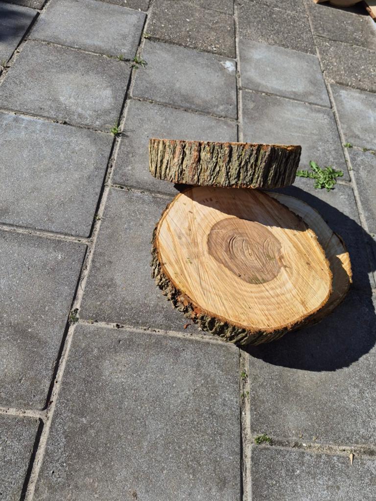 Houtschijven op maat voor diverse doeleinden, Overige typen, Nieuw, Ophalen of Verzenden, Minder dan 200 cm