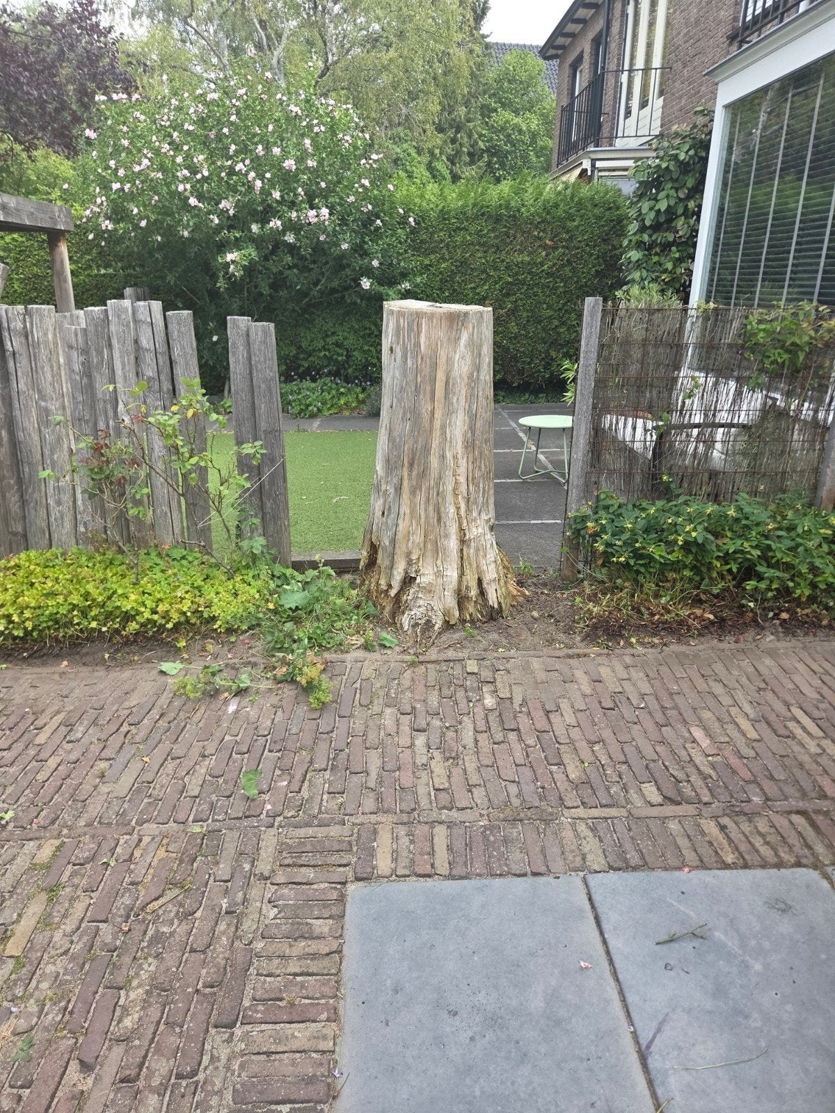 Gratis boomstronk boomstam haardhout, Minder dan 3 m³, Ophalen
