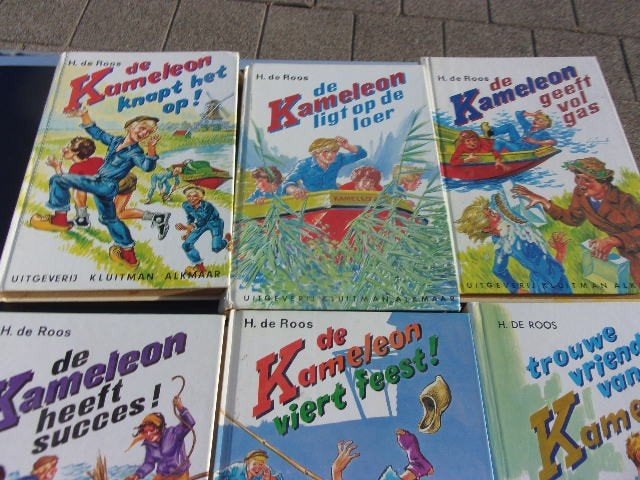 kameleon boeken, Boeken, Ophalen of Verzenden, Zo goed als nieuw