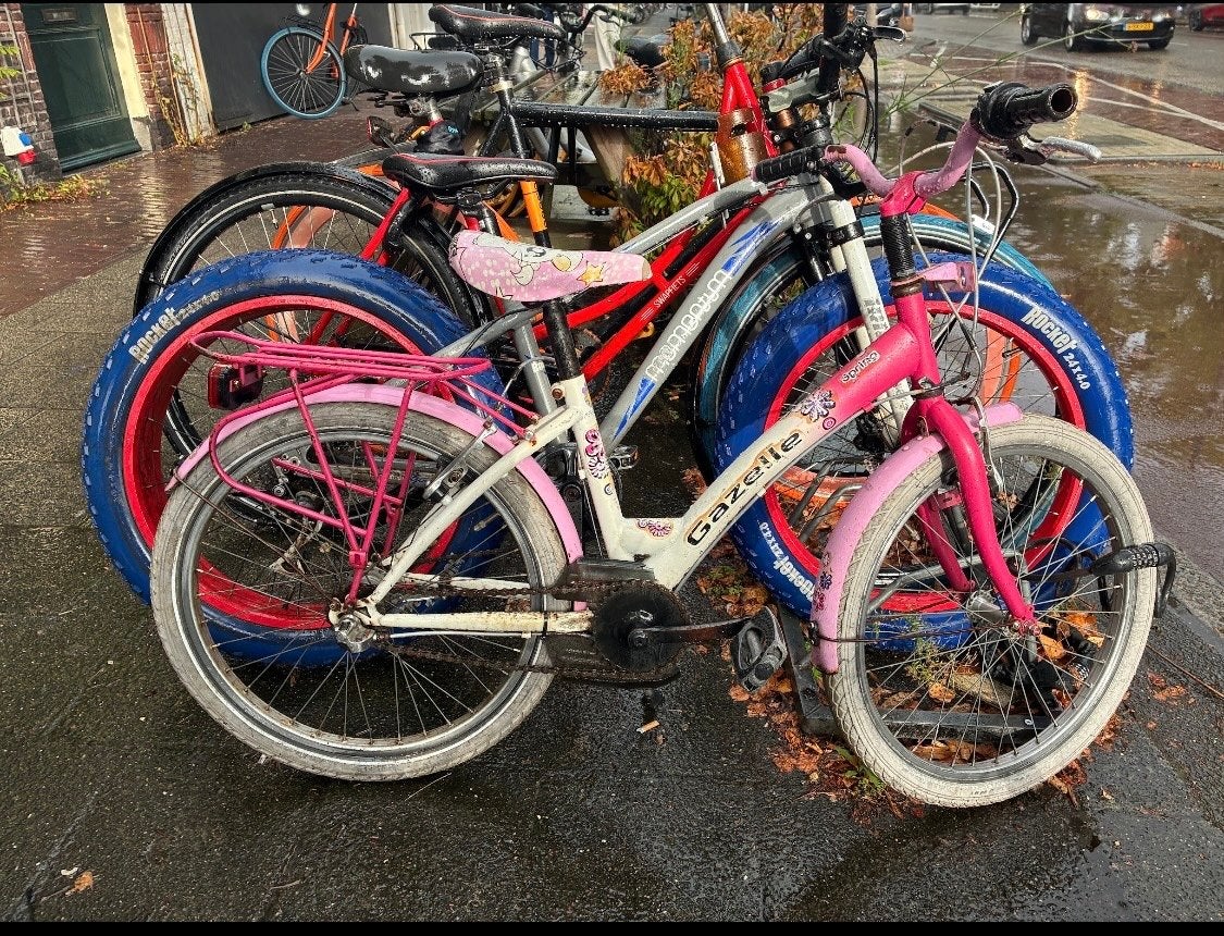 Gazelle kinderfiets roze meisjesfiets, Fietsen en Brommers, Ophalen, Gebruikt, Terugtraprem, 20 inch of meer