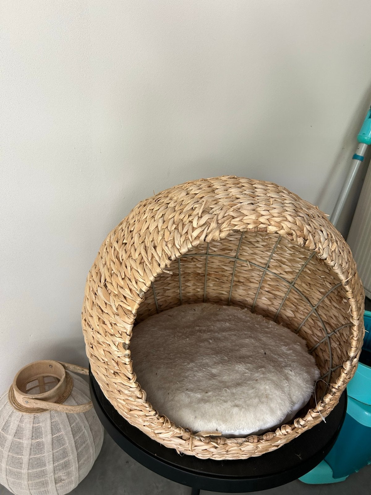 Kattenmandje, Ophalen, Gebruikt