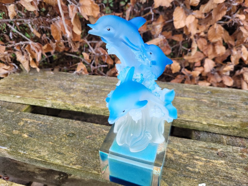 schitterende blauw dolfijnen /dolfijn beeld, Ophalen of Verzenden, Zo goed als nieuw, Dier
