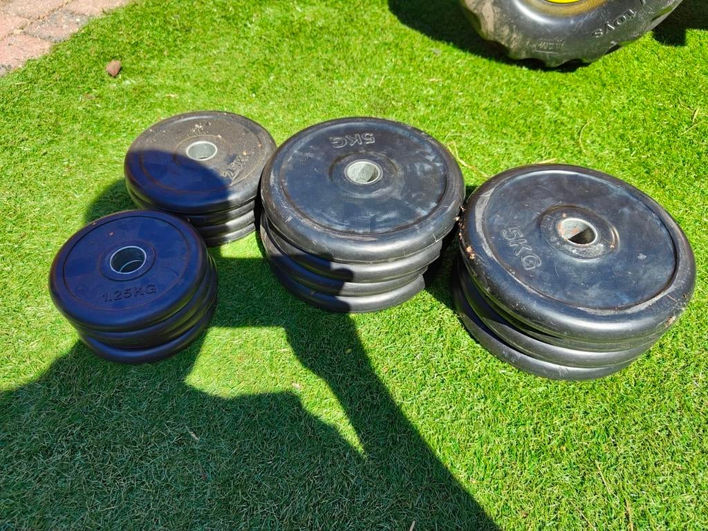 Rubberen Halterschijven - 1.25kg, 2,5 en 5kg 30 mm, 55 kg, Ophalen, Gebruikt, Rug, Halterschijven