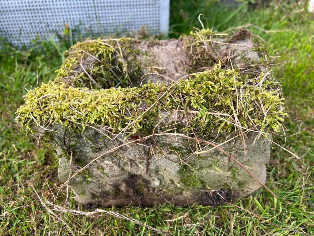 OUD BEMOST TROGJE, Ophalen