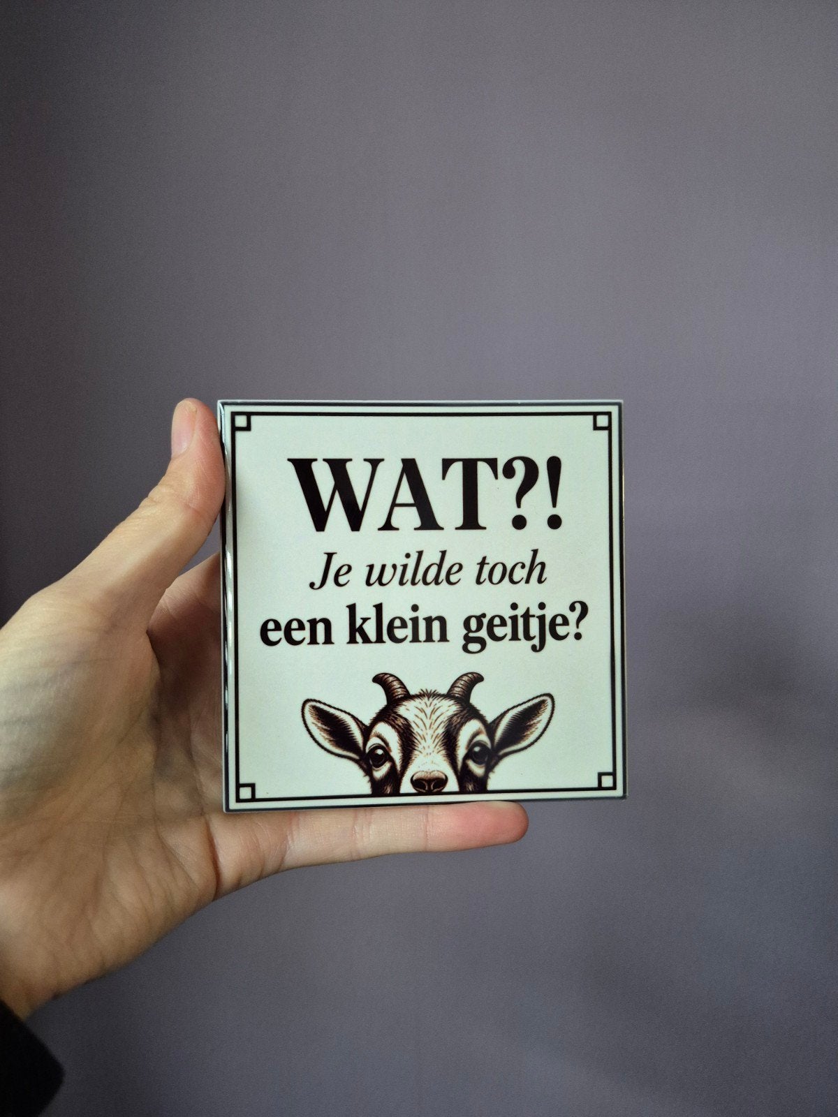 Funtegel "Klein geitje", Nieuw, Ophalen of Verzenden, Met afbeelding, Tegeltje