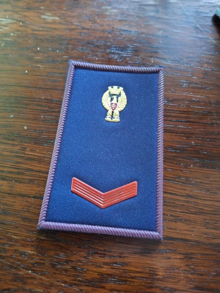 Rang Polizia di Stato - Italiaans Politie Embleem, Ophalen of Verzenden, Overige soorten, Overige gebieden, Embleem of Badge
