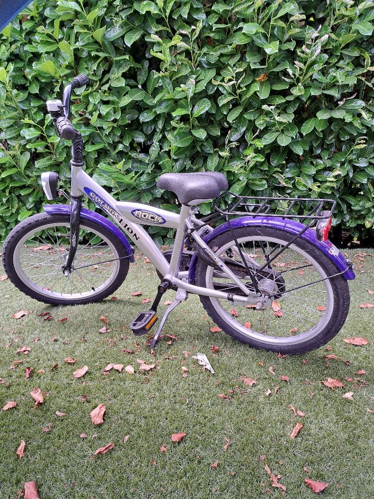 jongensfiets 18 inch, Ophalen, Terugtraprem, Gebruikt, Golden Lion