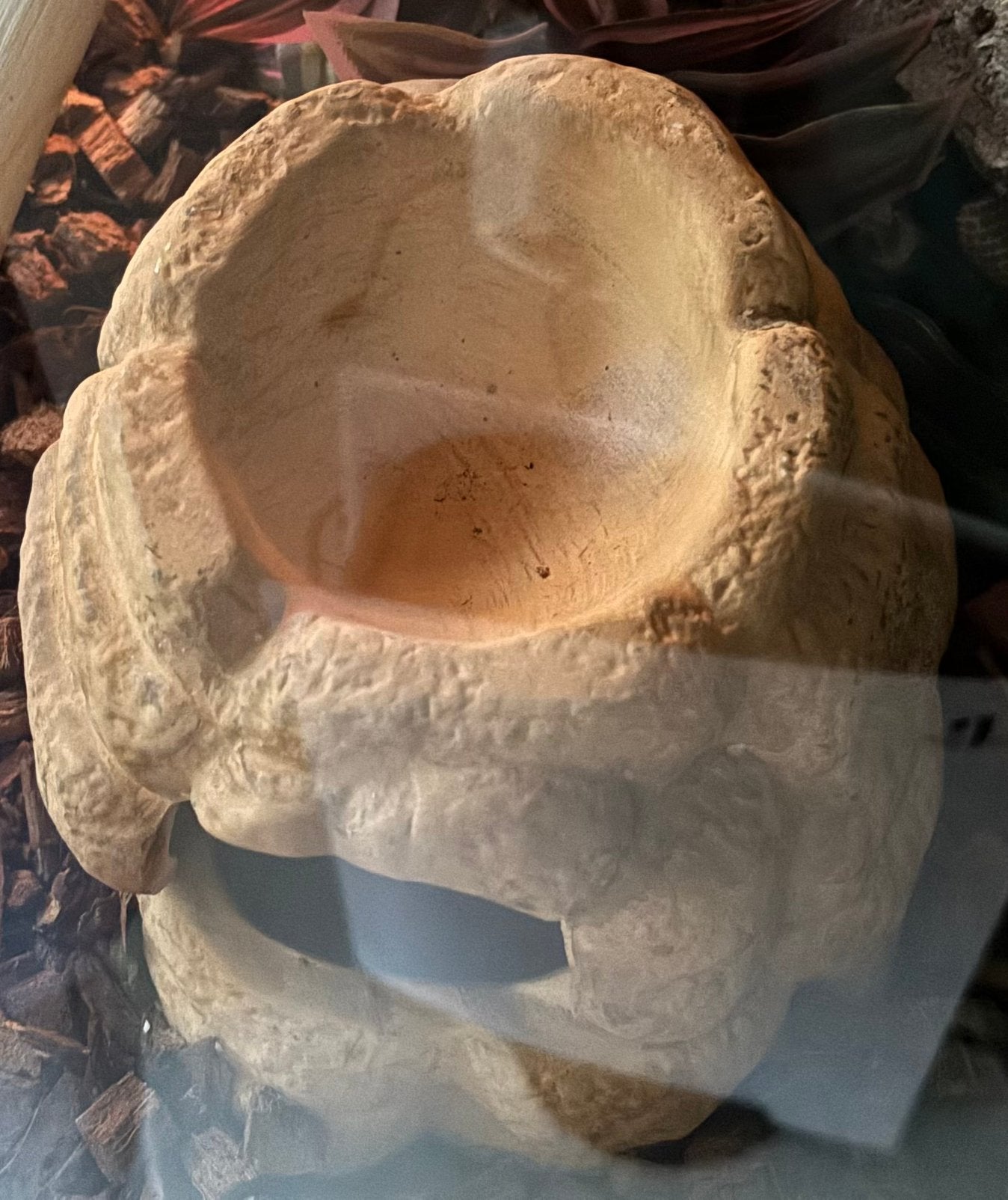 Keramische grot., Dieren en Toebehoren, Ophalen of Verzenden, Nieuw, Terrarium of Paludarium