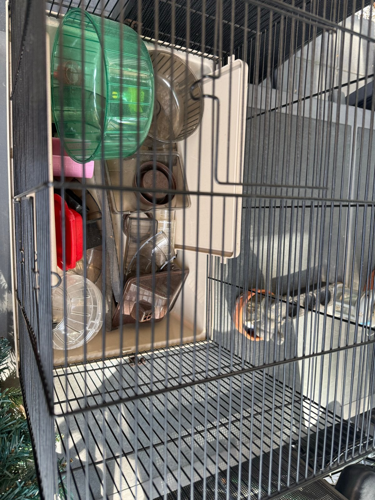 Hamsterkooi 50cmx40cmx 30cm, Ophalen