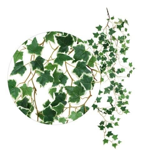 Kunst Klimop Hangplant 100cm - Realistisch Groen voor Interi, Binnen, Groen, Kunstplant, Onderhoudsvrij