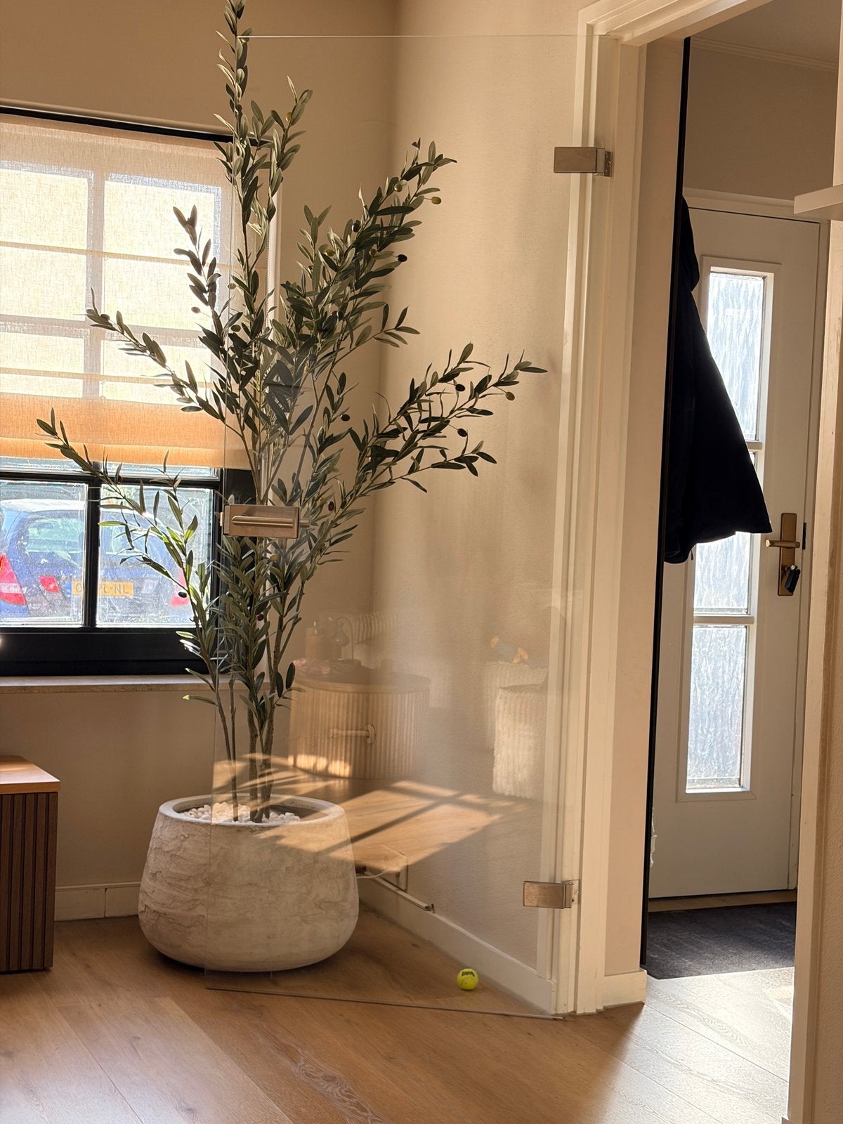 Glazen deur gratis 77x200, Ophalen, Zo goed als nieuw, Binnendeur, 200 tot 215 cm