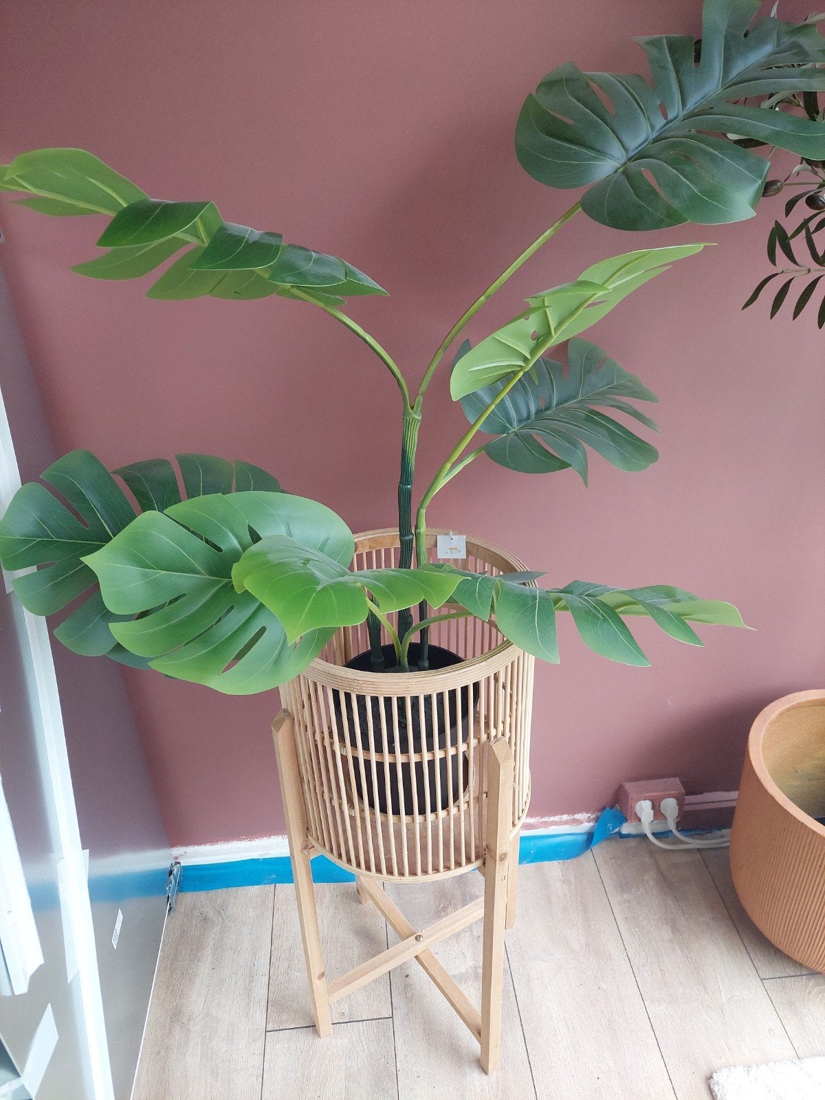 nep monstera met plantenhouder samen te koop, Ophalen, Halfschaduw, Minder dan 100 cm