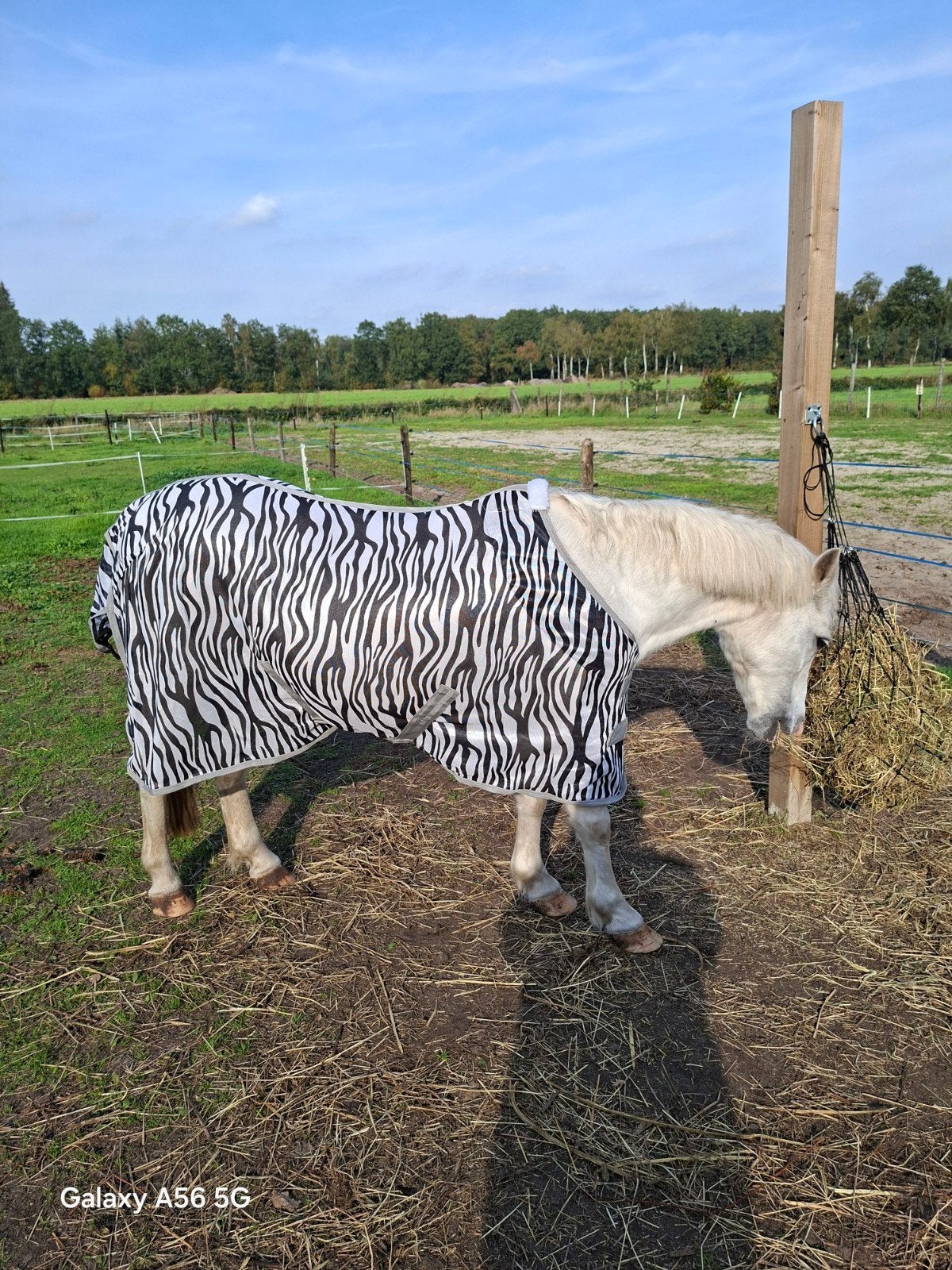 zebra vliegendeken 115/155 nieuw, Meerkleurig, Nieuw, Ophalen of Verzenden, Pony (P)