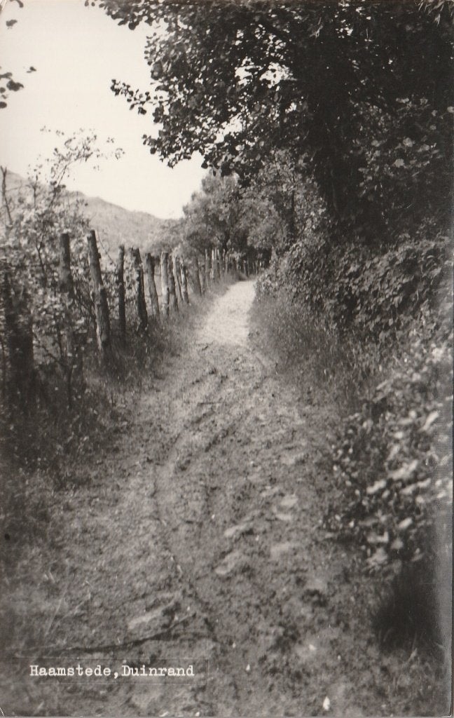 BURGH-HAAMSTEDE Duinrand, Verzenden, 1960 tot 1980, Ongelopen, Zeeland