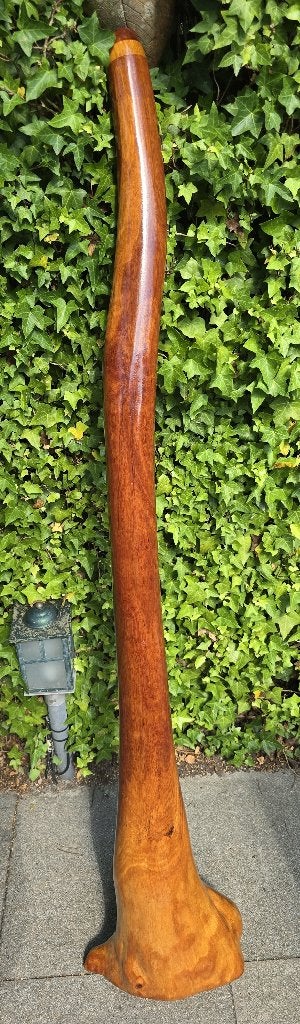 Zeldzame Bloodwood Monster Trunk didgeridoo – diepe E-klank, Muziek en Instrumenten, Blaasinstrumenten | Didgeridoos, Ophalen