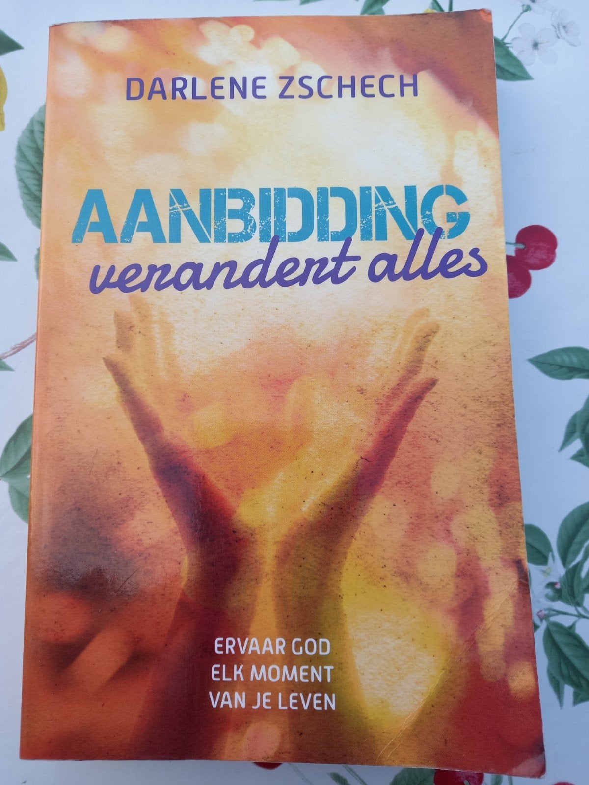 H Darlene Zschech - Aanbidding verandert alles, Gelezen, Darlene Zschech, Christendom | Protestants, Ophalen of Verzenden