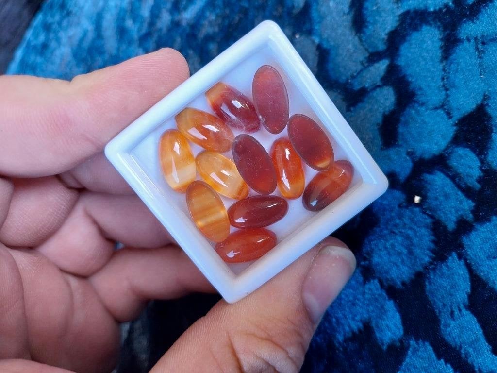 Groot lot ovale carneool cabochons, Ophalen of Verzenden